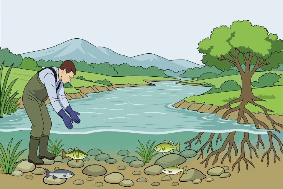 Flow Makes Passive eDNA Sampling Fast Enough to Beat Filtration in Rivers