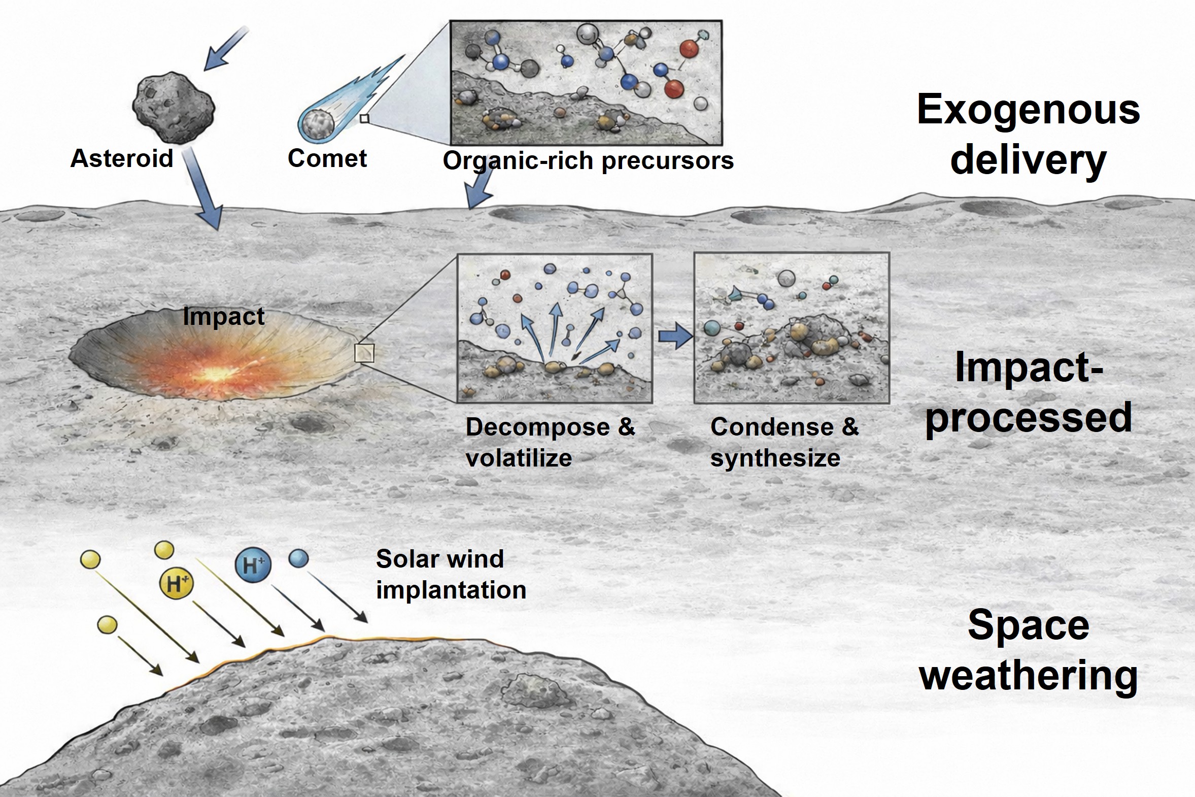 Chang'e Mission Samples Reveal How Exogenous Organic Matter Evolves on the Moon
