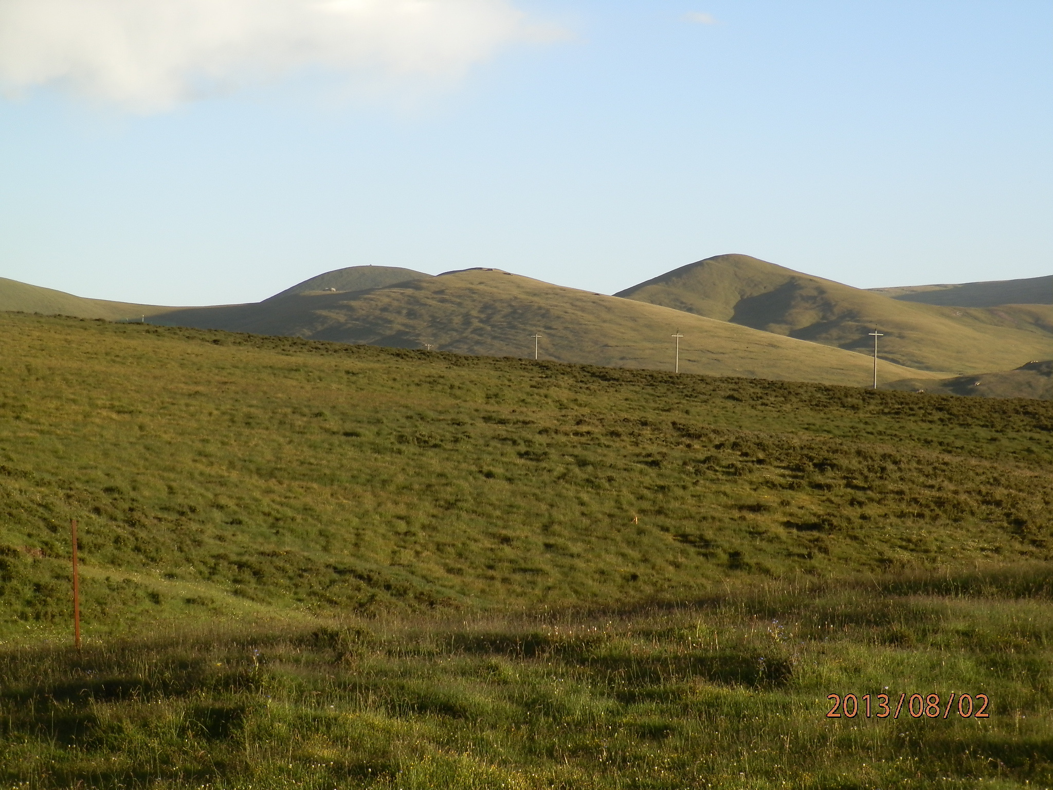 Slower Winds Help Grasslands Enhance Carbon Gain While Saving Water