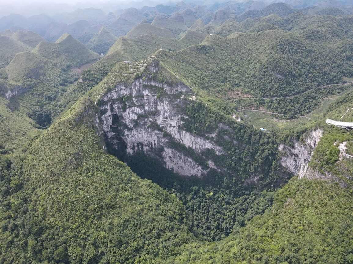 Haven or Trap? Study Finds Sinkholes Protect Endangered Tree at Evolutionary Cost
