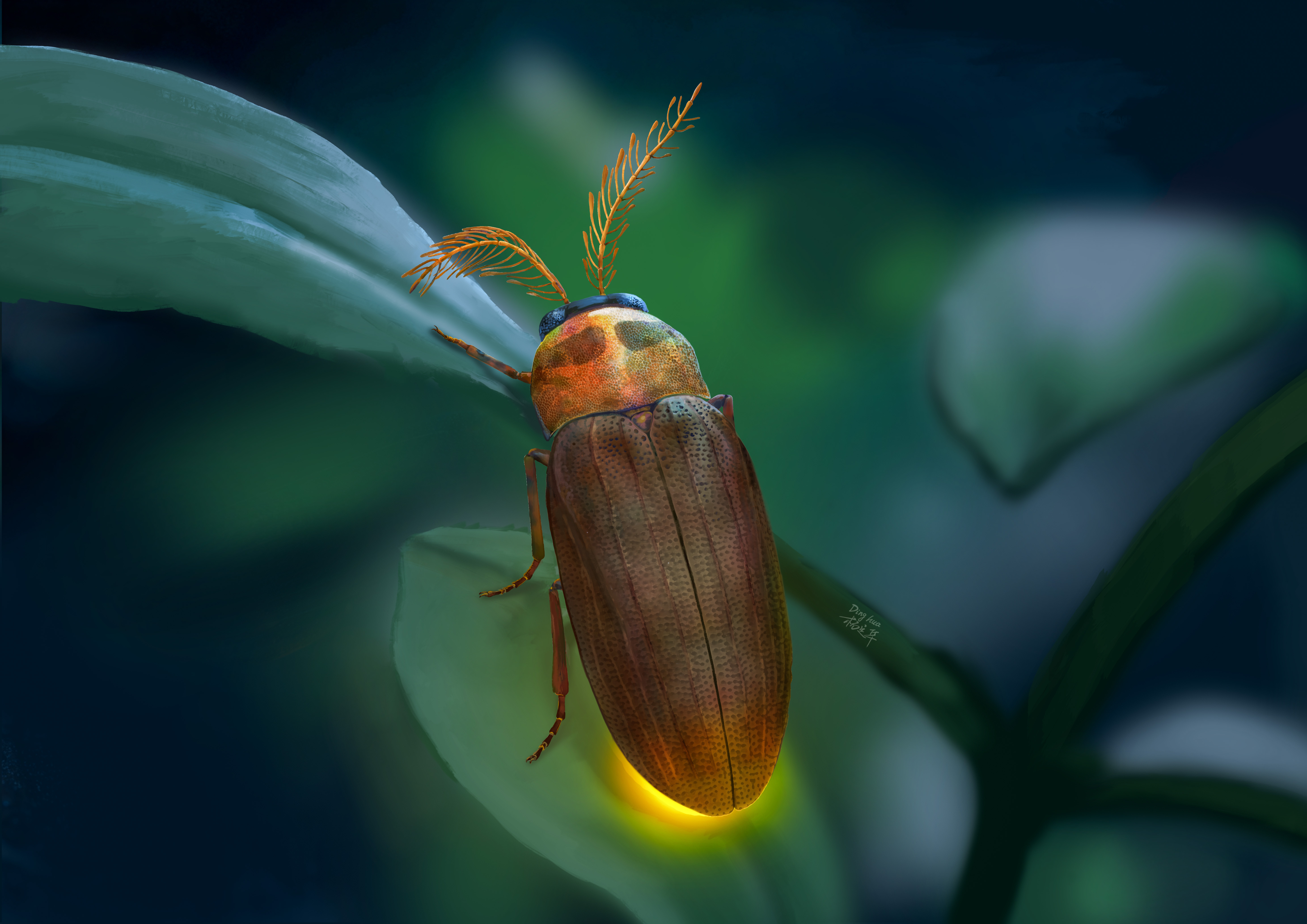 Cretaceous Beetle Fossil Reveals Early Evolution of Firefly Sensory and Signaling Systems
