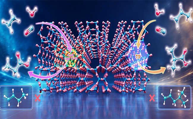 Zeolite Pore Architecture Unlocks New Olefin Carbonylation Reactions