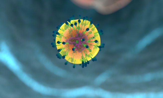 Researchers Develop Artificial Targeting Strategy to Help Identify T-Cells