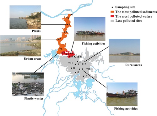 Which Factors Affect the Distribution of Microplastics in Poyang Lake?