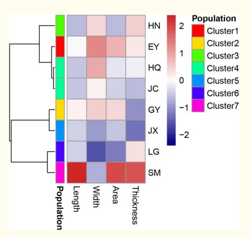 The cluster analysis of leaf traits of morphology and biomass in the eight populations(Image by WBG).jpg