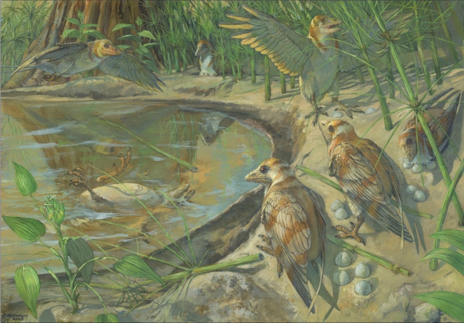 bird;egg;fossil;Cretaceous bird;egg;fossil;Cretaceous
