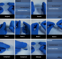 sensor;liquid metal;wearable electronic device sensor;liquid metal;wearable electronic device