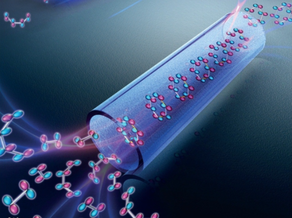 1D Nanoconfined Ordered-Assembly Reaction.png