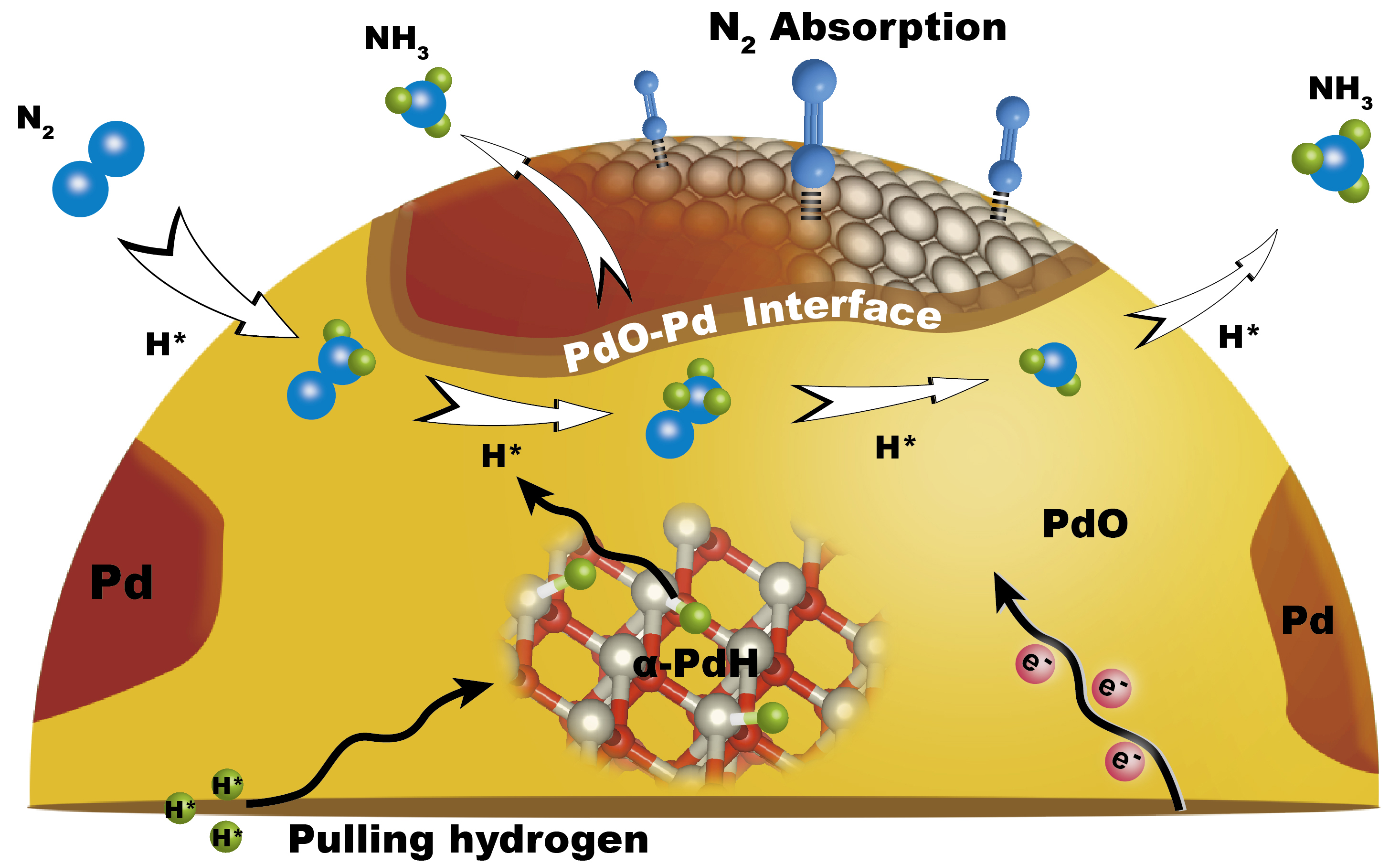 Researchers construct metal–metal oxide interfaces for electrocatalytic N2 fixation