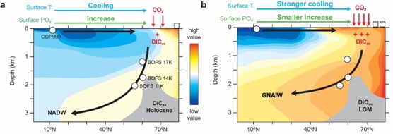 North Atlantic Carbon Absorption Critically Contributes to Lowering Glacial Atmospheric CO<sub>2</sub>