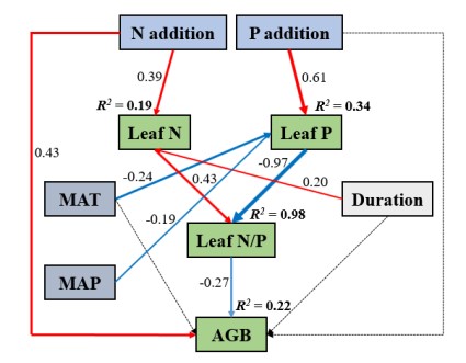 Researchers Reveal Interactive Effects of Nitrogen and Phosphorus Additions on Plant Growth