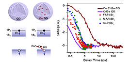 Scientists Observe a Phonon Bottleneck for Hot Electron Cooling in Doped Quantum Dots