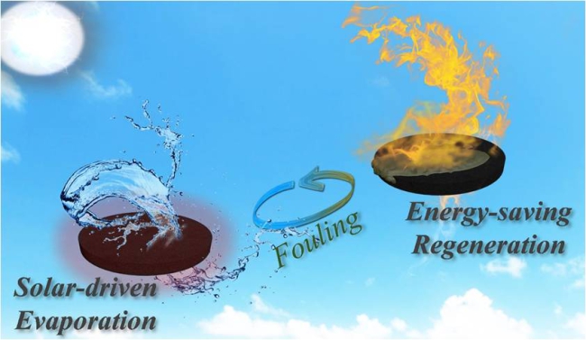 Catalytic Perovskite Oxides Realize Energy-saving Regeneration from Biofouling