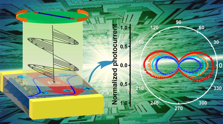 Bulk Photovoltaic Effect Exploited in 2D Trilayered Hybrid Ferroelectric for Highly Sensitive Polarized Light Detection