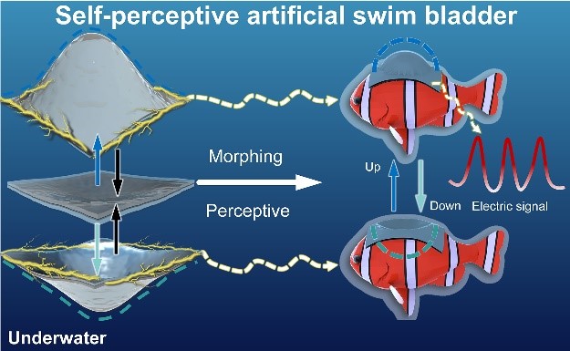 Scientists Develop Novel Underwater Self-perceptive Soft Actuator