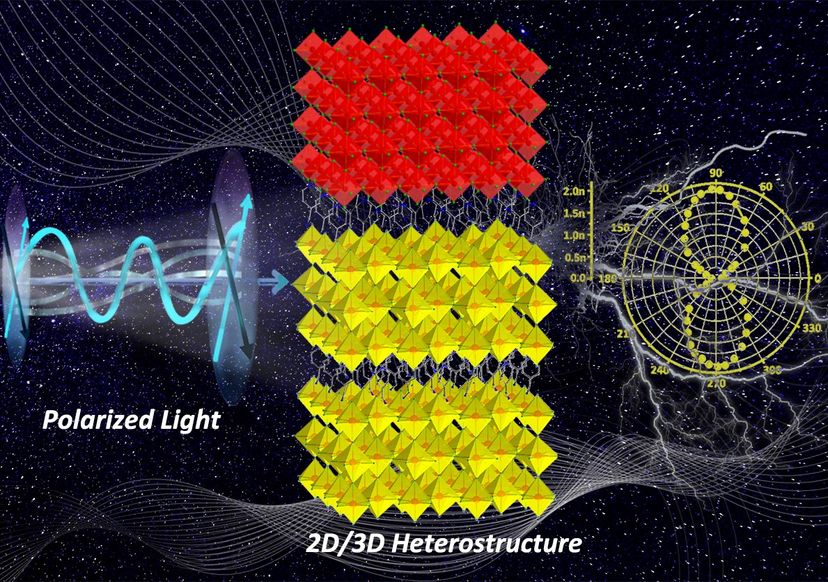 High-quality 2D/3D Perovskite Heterostructure Crystals Developed for Record-performance Polarization-sensitive Photodetection