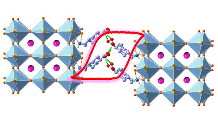 Spacer Cation Alloying of Homo-conformational Carboxylate trans-Isomer to Boost In-plane Ferroelectricity in 2D Hybrid Perovskite