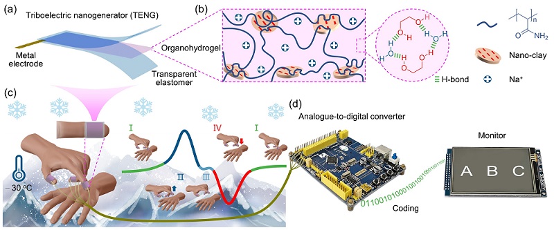 Design of organohydrogel TENGs.jpg