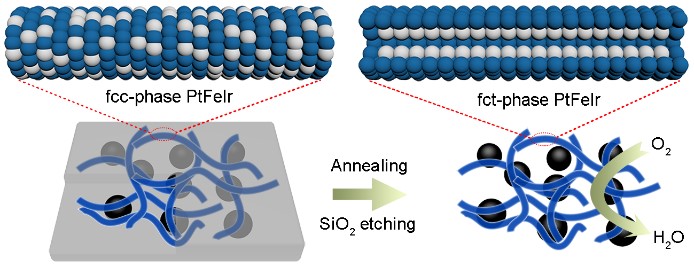 Schematic Diagram of Preparation of fct-phase PtFeIr Nanowires for ORR