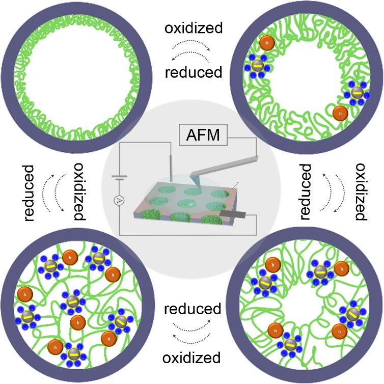 Dynamic Gating Process Observed at Sub-2 nm Speed in Nanochannels
