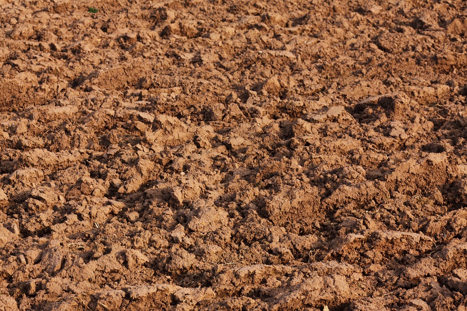 soil.jpg