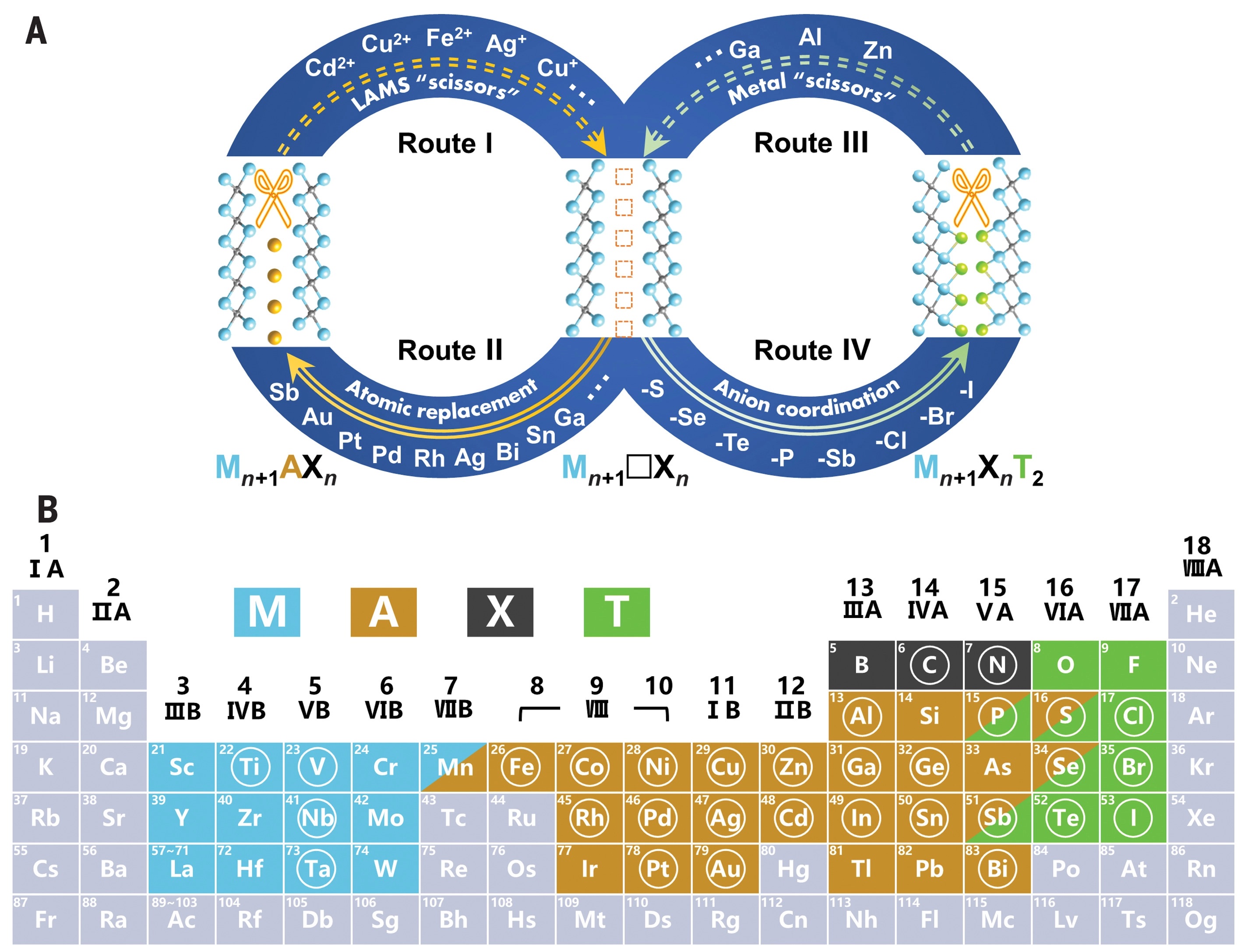Structural editing strategy of MAX phases and MXenes mediated by chemical scissors