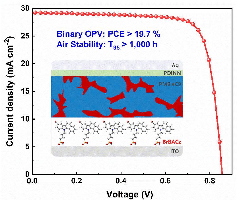 The BrBACz-controlled binary OSCs with a record high PCE and stability
