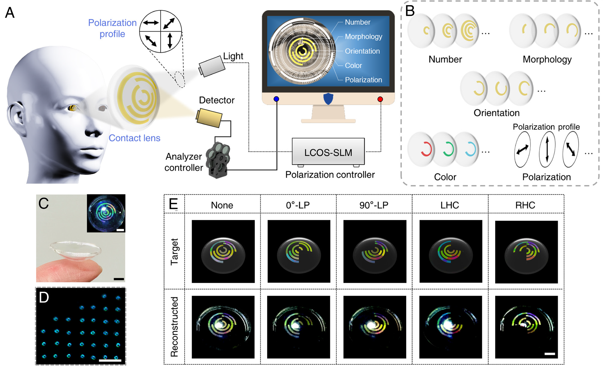 Chinese Researchers Make Breakthrough in Artificial Chiral Structural-color Microdomes