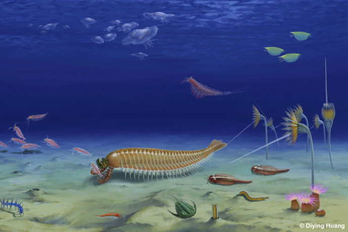 A 520-million-year-old Five-eyed Fossil Reveals Arthropod Origin