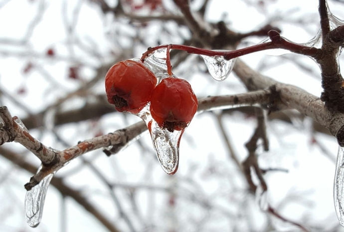 Working toward Better Forecast of Freezing Rain in Southern China