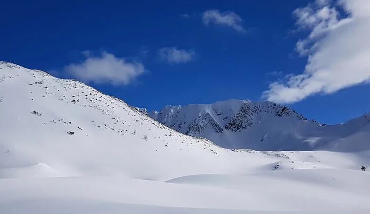 snow cover