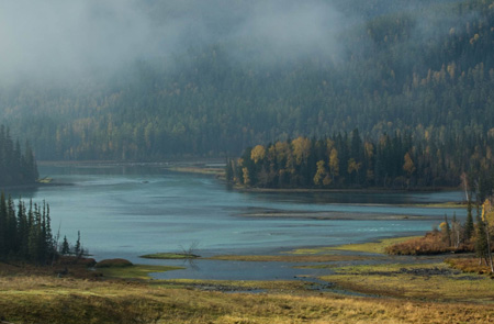 Planting Trees to Save the Planet: The Chinese Experience