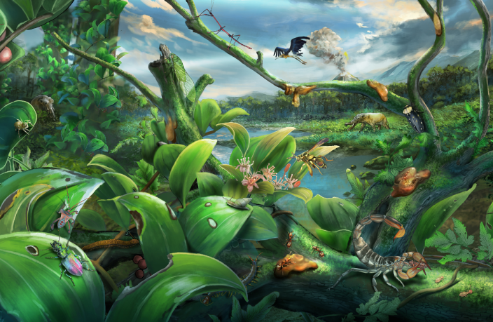 Newly Discovered Miocene Biome Sheds Light on Rainforest Evolution