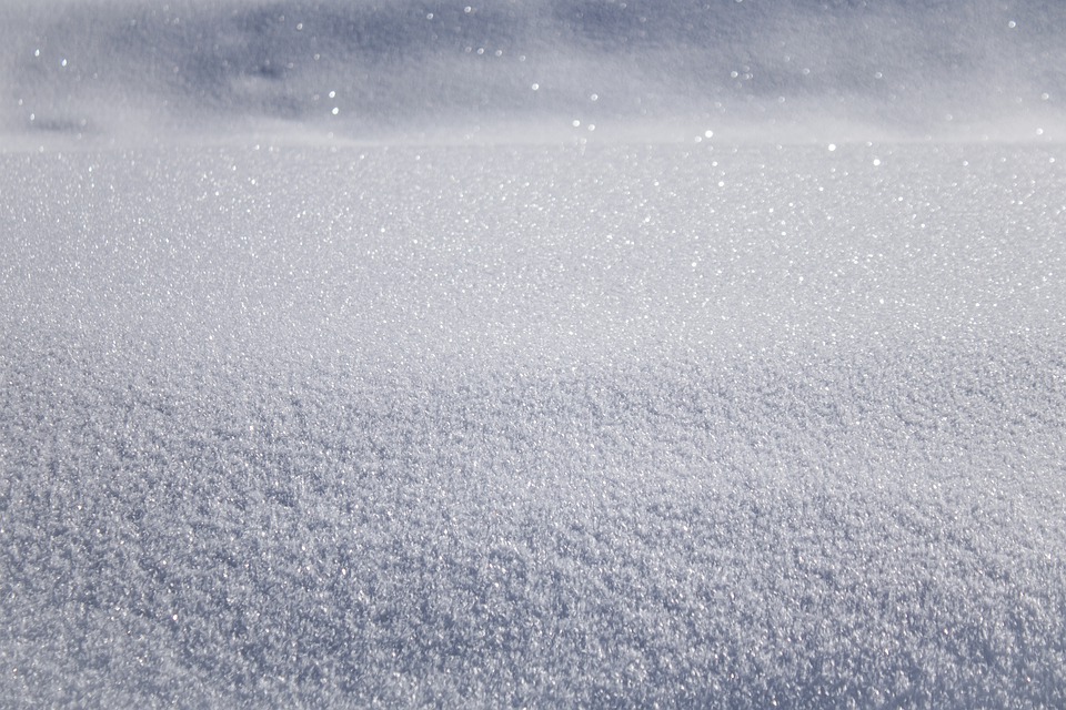 Researchers Reveal How Snow Depth Modulates Physical and Chemical Properties of Biological Soil Crusts
