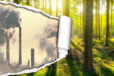 Reductions of Anthropogenic Aerosols under Carbon Neutrality Enlarge Surface Temperature Increase