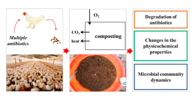 composting process