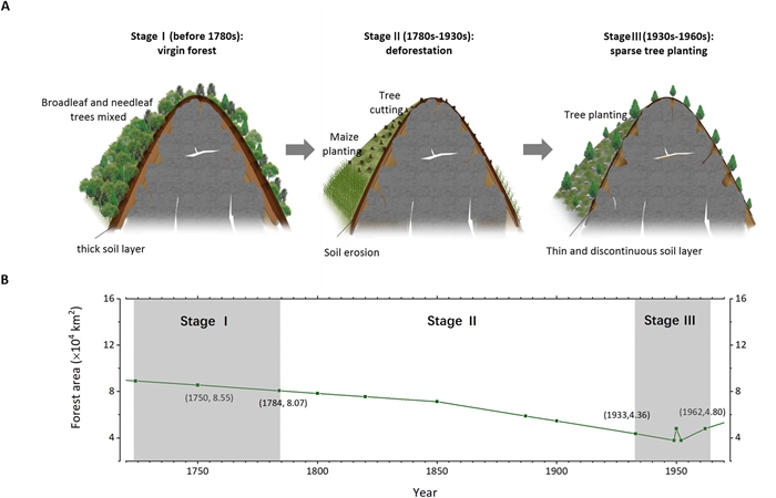 The forest evolution history over the past three centuries. (a) A diagram of tree covers and soil environments at three stages at our sampling site. (b) Forest area variations in Guangxi