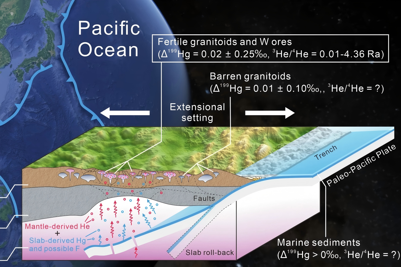 Mantle Involvement Key to Global Tungsten Mineralization, Study Reveals