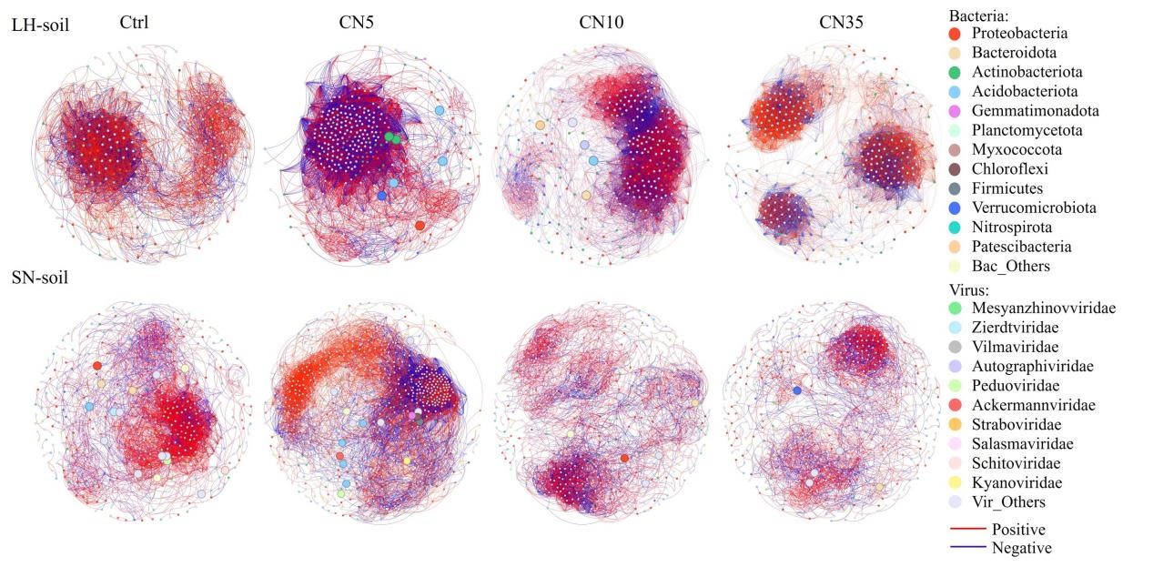 Soil Viruses Regulate Carbon Cycling Based on Carbon-to-Nitrogen Ratio in Soil