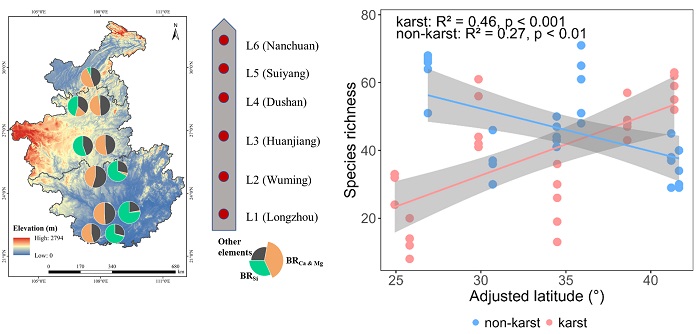Calcium Rich Karst Bedrock Reshapes Latitudinal Pattern of Forest Species Diversity