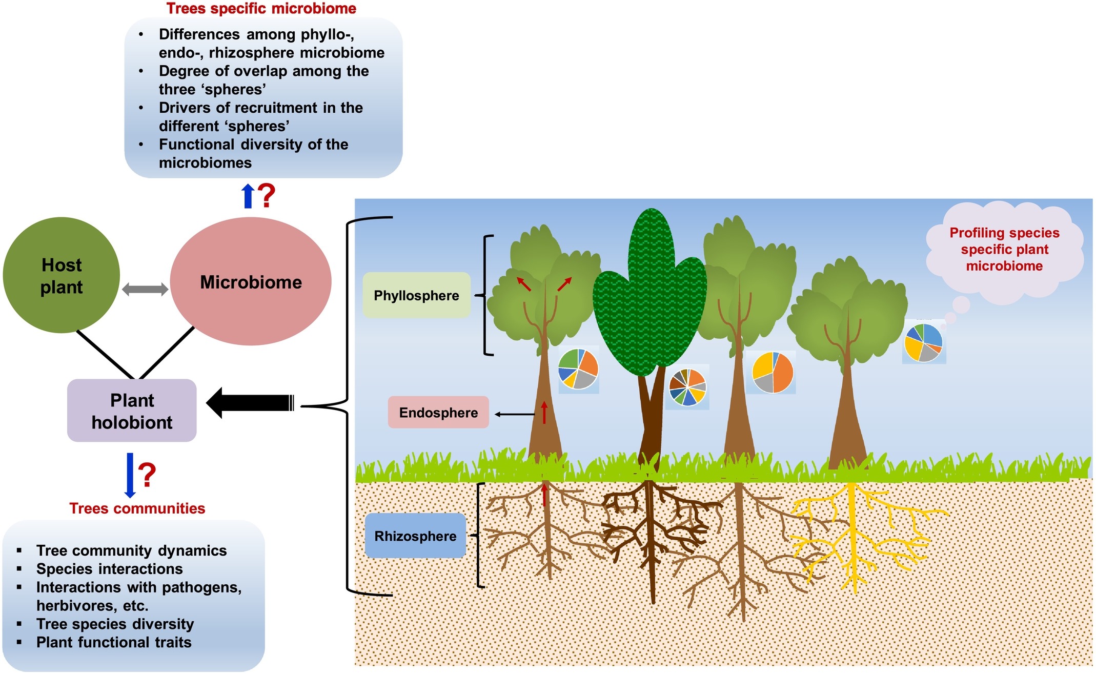 Plant Microbiome Is Important in Studies with Forest Trees
