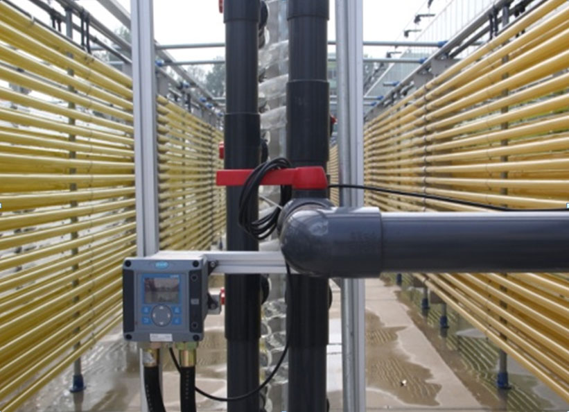 Researchers Develop Ultra-high Cell Density Heterotrophic Cultivation Technology of Microalgae