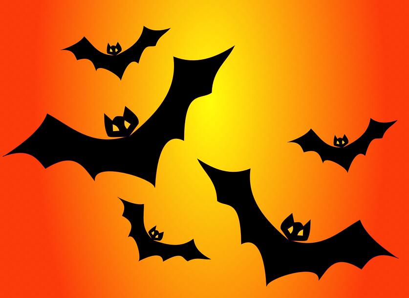 Researchers Develop New Software Waveman for Identifying Bat Species