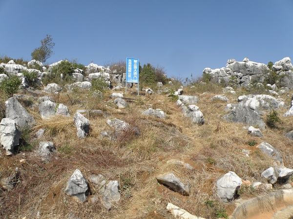 A study site with rock outcrops at Shilin .jpg