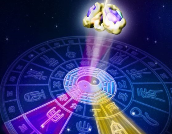 Researchers Reveal Spatiotemporal Gene Expression Pattern in Mammalian Circadian Pacemaker