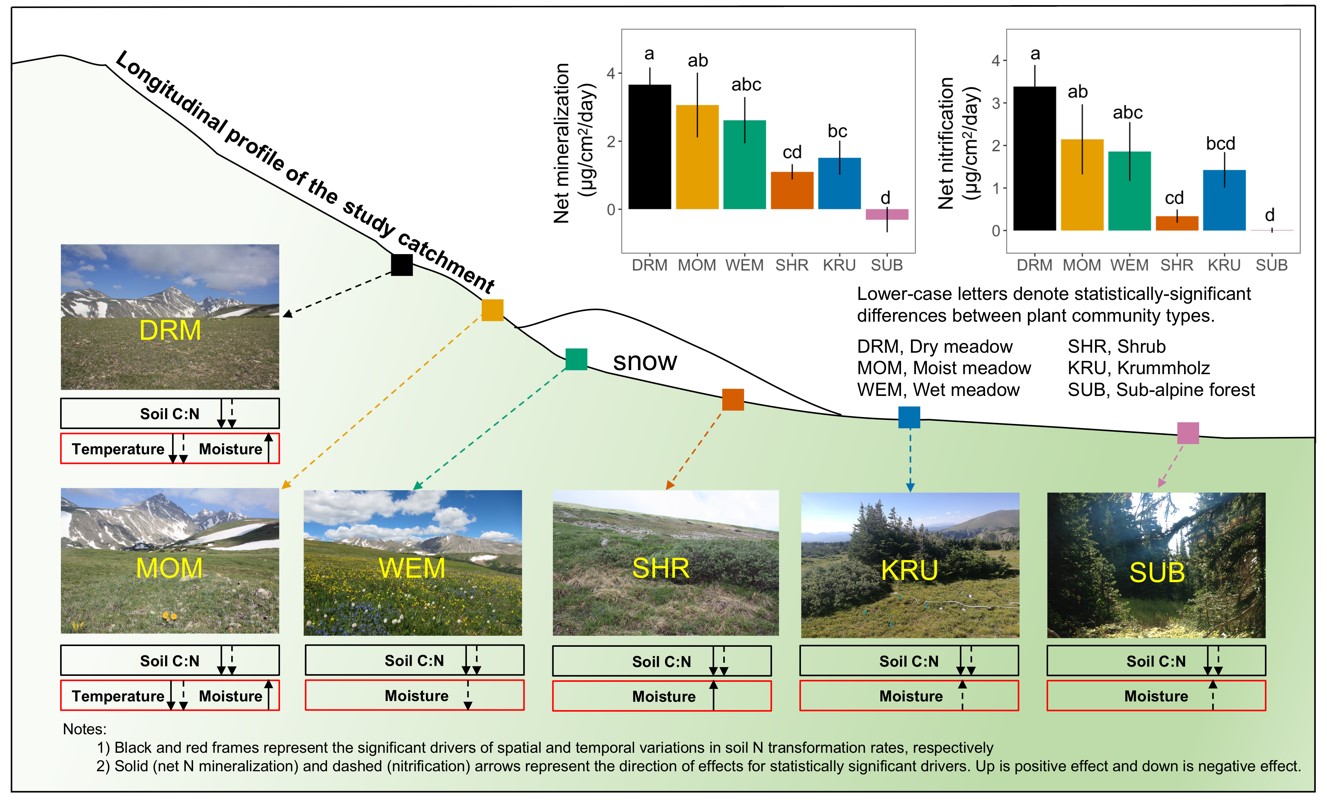 Soil N transformations and their determining factors across plant communities within an alpine catchment of the Colorado Rocky Mountains (Image by CHEN Youchao).jpg