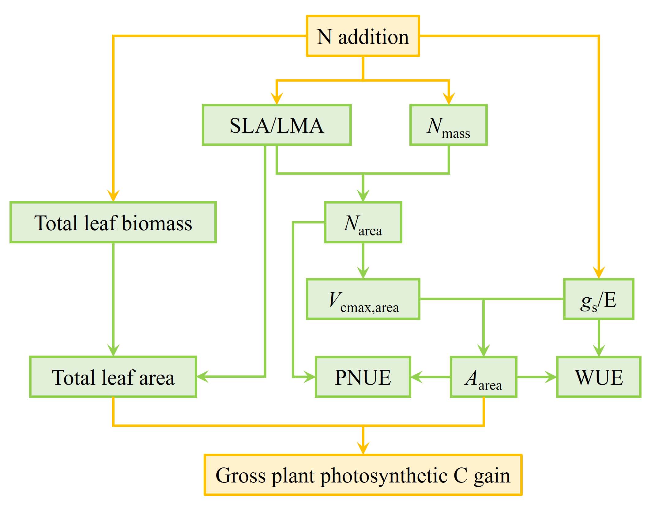 Researchers Reveal Global Response Patterns of Plant Photosynthesis to Nitrogen Addition