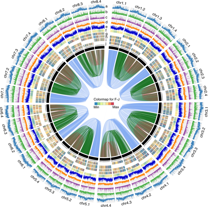 Study Decodes the Complex Autotetraploid Cultivated Alfalfa Genome