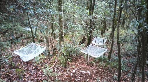 photographs of the studied catchment.jpg