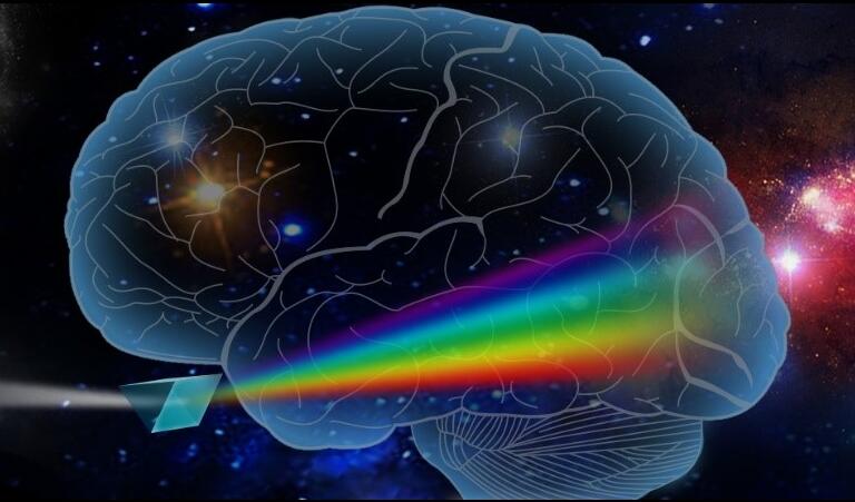 From Photons to Feelings: Researchers Reveal A Color Palette in Brain